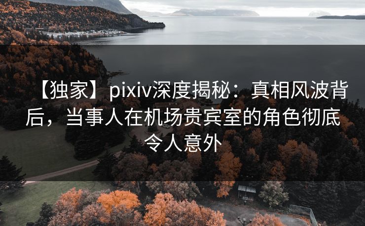 【独家】pixiv深度揭秘：真相风波背后，当事人在机场贵宾室的角色彻底令人意外  第1张