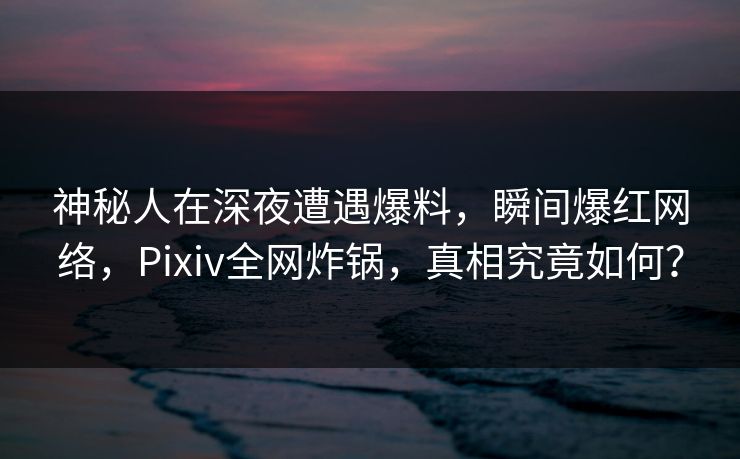 神秘人在深夜遭遇爆料，瞬间爆红网络，Pixiv全网炸锅，真相究竟如何？  第1张
