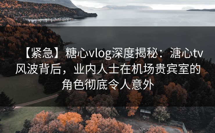 【紧急】糖心vlog深度揭秘：溏心tv风波背后，业内人士在机场贵宾室的角色彻底令人意外