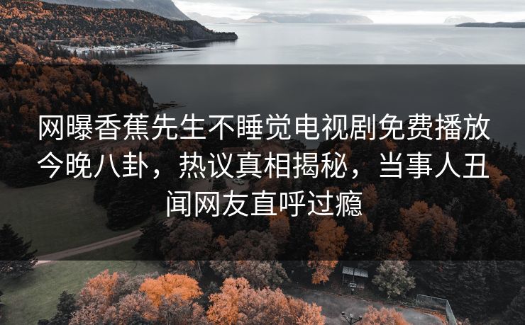 网曝香蕉先生不睡觉电视剧免费播放今晚八卦，热议真相揭秘，当事人丑闻网友直呼过瘾