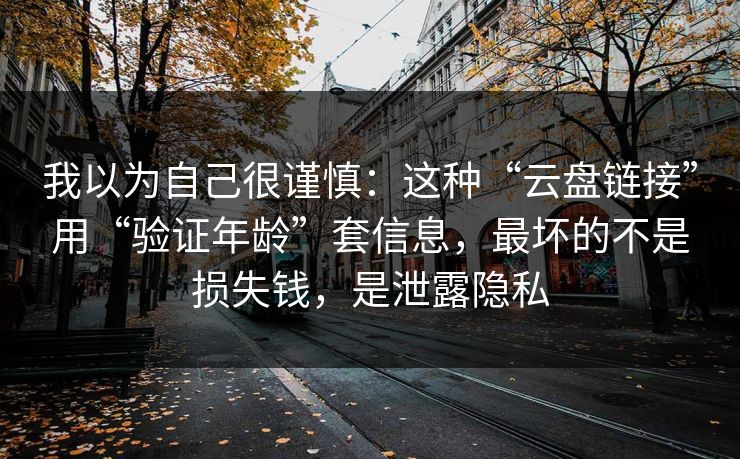我以为自己很谨慎:这种“云盘链接”用“验证年龄”套信息,最坏的不是损失钱,是泄露隐私